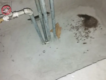 安丘卫生间测漏水价格明细