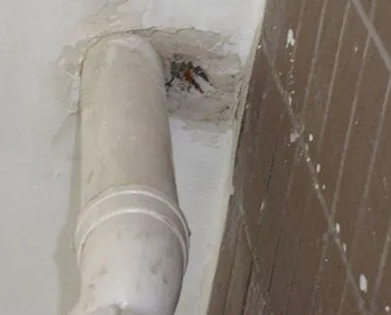 安丘漏水检测哪家好